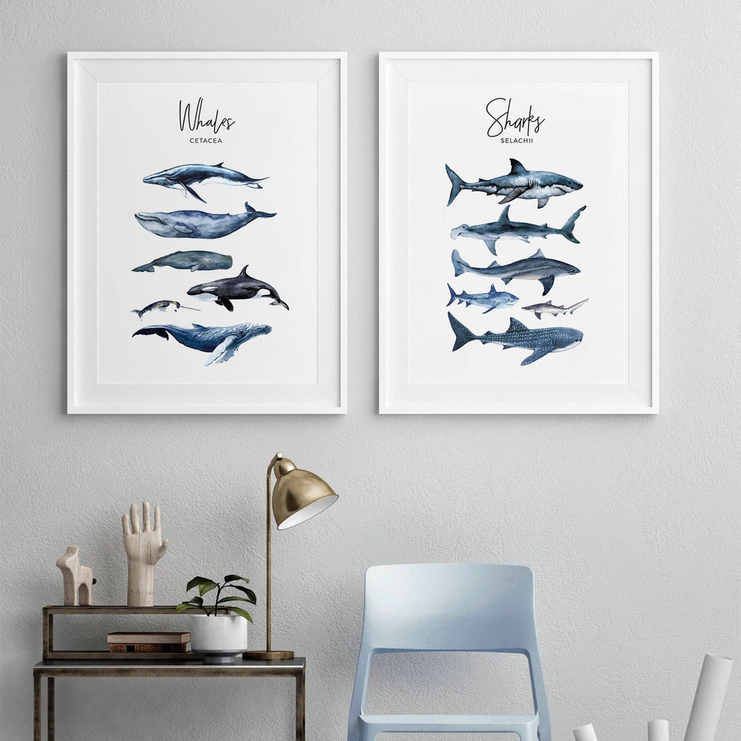 Set of 2 Watercolor Prints Whales Print Sharks Prints Whale - Etsy