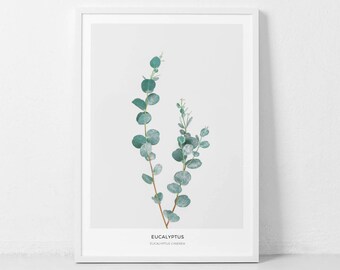 Eucalyptus Print, Botanical Wall Art, Leaf Printable, Mint Decor, Plant Prints, Eucalyptus Leaf, Botanical Leaf Print, Printable Wall Art