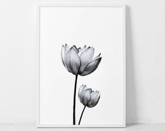 Lotus Flower Print, Black and White Flower, Lotus Flower Photo, Modern Flower Art, Botanical Print, Scandinavian Wall Print, Nordic Print.