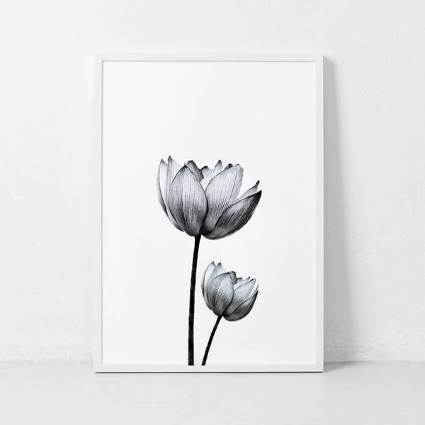 Lotus Flower Print, Black and White Flower, Lotus Flower Photo, Modern Flower Art, Botanical Print, Scandinavian Wall Print, Nordic Print.