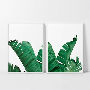 Set di 2 Banana Leaf Print, Banana Leaf Print, Banana Leaf Art, Banana Leaf Poster, Tropical Art, Botanical Print, Leaf Print, Botanical Art