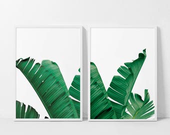 Set of 2 Banana Leaf Print, Banana Leaf Print, Banana Leaf Art, Banana Leaf Poster, Tropical Art, Botanical Print, Leaf Print, Botanical Art