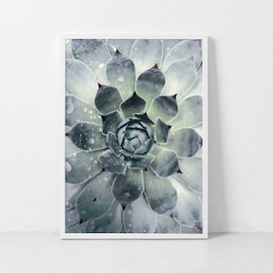 Botanical Print, Agave, Cactus Print, Succulent Art, Botanical Wall Art, Succulent Art, Agave Print, Bohemian Wall Art, Desert Art, Mint Art