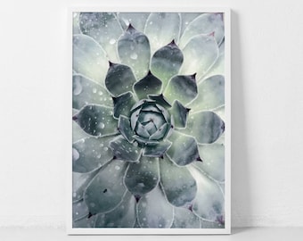 Botanical Print, Agave, Cactus Print, Succulent Art, Botanical Wall Art, Succulent Art, Agave Print, Bohemian Wall Art, Desert Art, Mint Art