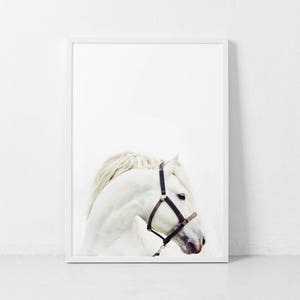 Horse Print - White Horse Wall Art, Digital Download, Animal Portrait, Gift for horselover, Scandinavian Print, Minimalist Decor, Minimalist