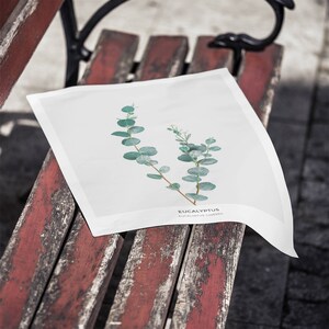 Pode incluir: Uma impress&atilde;o de arte imprim&iacute;vel branca com uma ilustra&ccedil;&atilde;o bot&acirc;nica de folhas de eucalipto sobre um fundo branco. O texto "Eucalyptus" e "Eucalyptus Gunnii" est&aacute; impresso abaixo da ilustra&ccedil;&atilde;o.