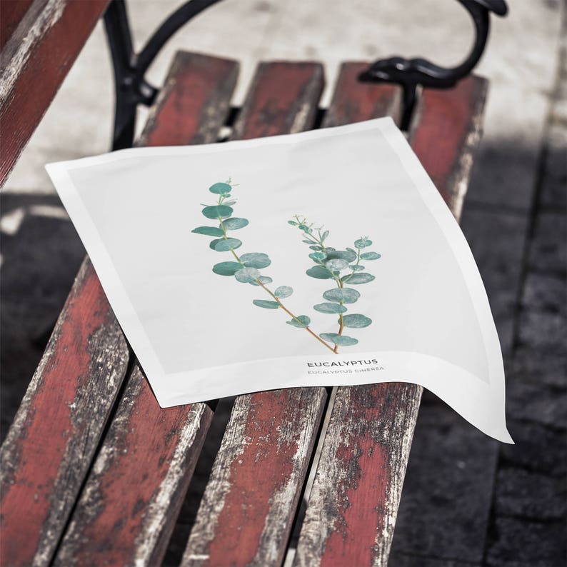 Pode incluir: Uma impress&atilde;o de arte imprim&iacute;vel branca com uma ilustra&ccedil;&atilde;o bot&acirc;nica de folhas de eucalipto sobre um fundo branco. O texto "Eucalyptus" e "Eucalyptus Gunnii" est&aacute; impresso abaixo da ilustra&ccedil;&atilde;o.