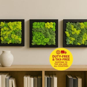 Puede incluir: Tres obras de arte murales cuadradas enmarcadas con musgo verde vibrante. El musgo varía en tonos de verde, creando una apariencia natural y texturizada. Los marcos son negros, proporcionando un contraste moderno.