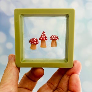 May include: A small, olive green square shadow box containing three miniature mushrooms. The mushrooms have red caps with white polka dots and tan stems. The shadow box is held in a person's hand against a blurred blue and white background.