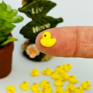 May include: A collection of small, yellow duck figurines with black eyes and orange beaks. One duck is held on a fingertip. The background includes a miniature succulent plant in a brown pot and a green decorative piece with the words "Fairies Live Here."