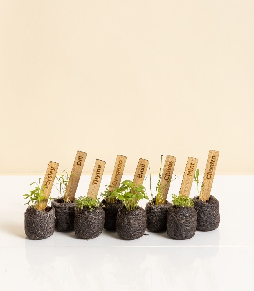 Kräutergarten Starter Kit für den Innen oder Außenbereich 8 | Etsy