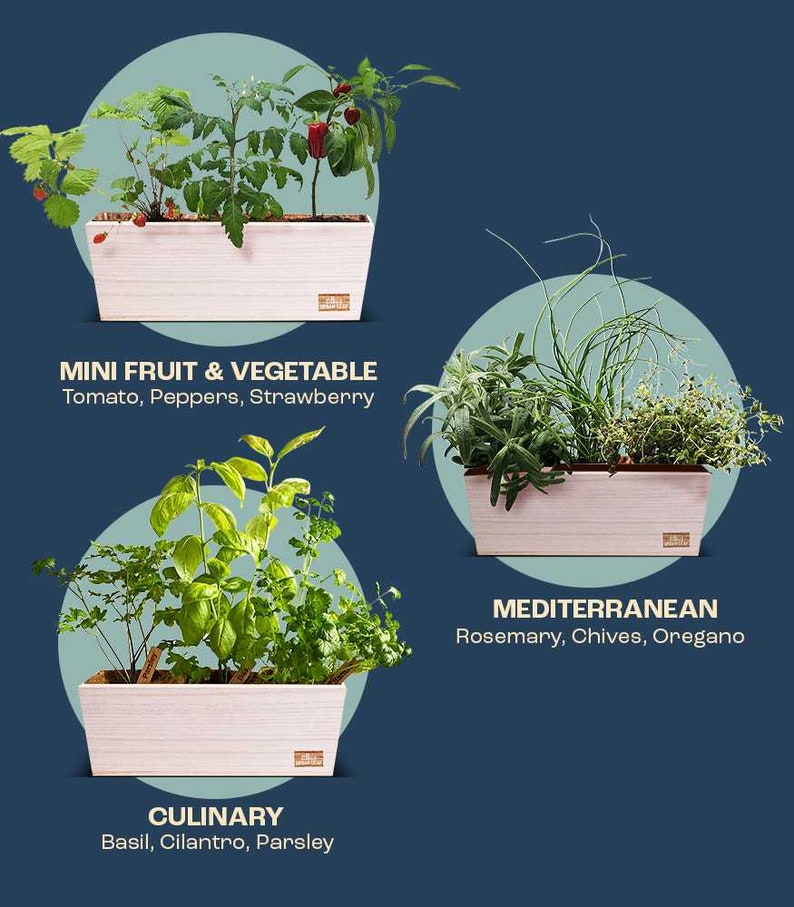 Herb Garden Kit Indoor Herb Garden Kit Gardening Gift Etsy