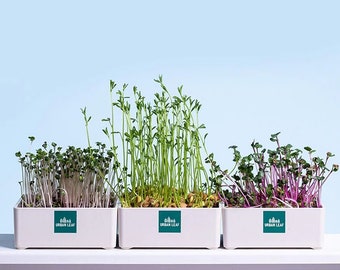 Organic Microgreens Growing Kit,  Microgreens Herb Garden, Indoor Microgreens Garden Kit, Organic Microgreens Seeds, Gardening Gift