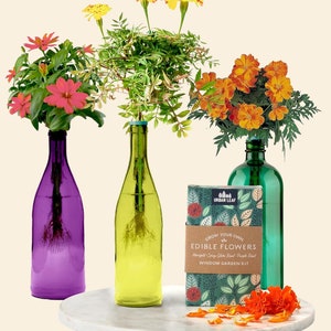 Herb Garden Kit, Window Herb Garden Kit, Indoor Herb Garden Kit, Indoor Wine Bottle Herb Plant Kits, Bottle Plant Kits, Gardening Gift Edible Flowers