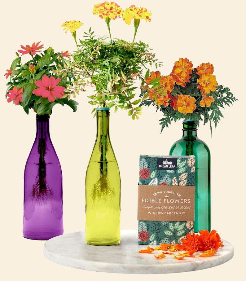 Herb Garden Kit, Window Herb Garden Kit, Indoor Herb Garden Kit, Indoor Wine Bottle Herb Plant Kits, Bottle Plant Kits, Gardening Gift Edible Flowers