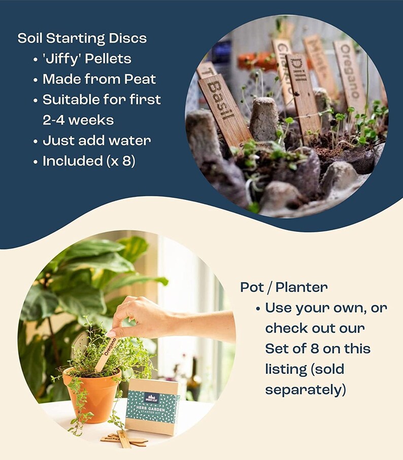Herb Garden Starter Kit for Indoor or Outdoor Gardening 8 Etsy UK