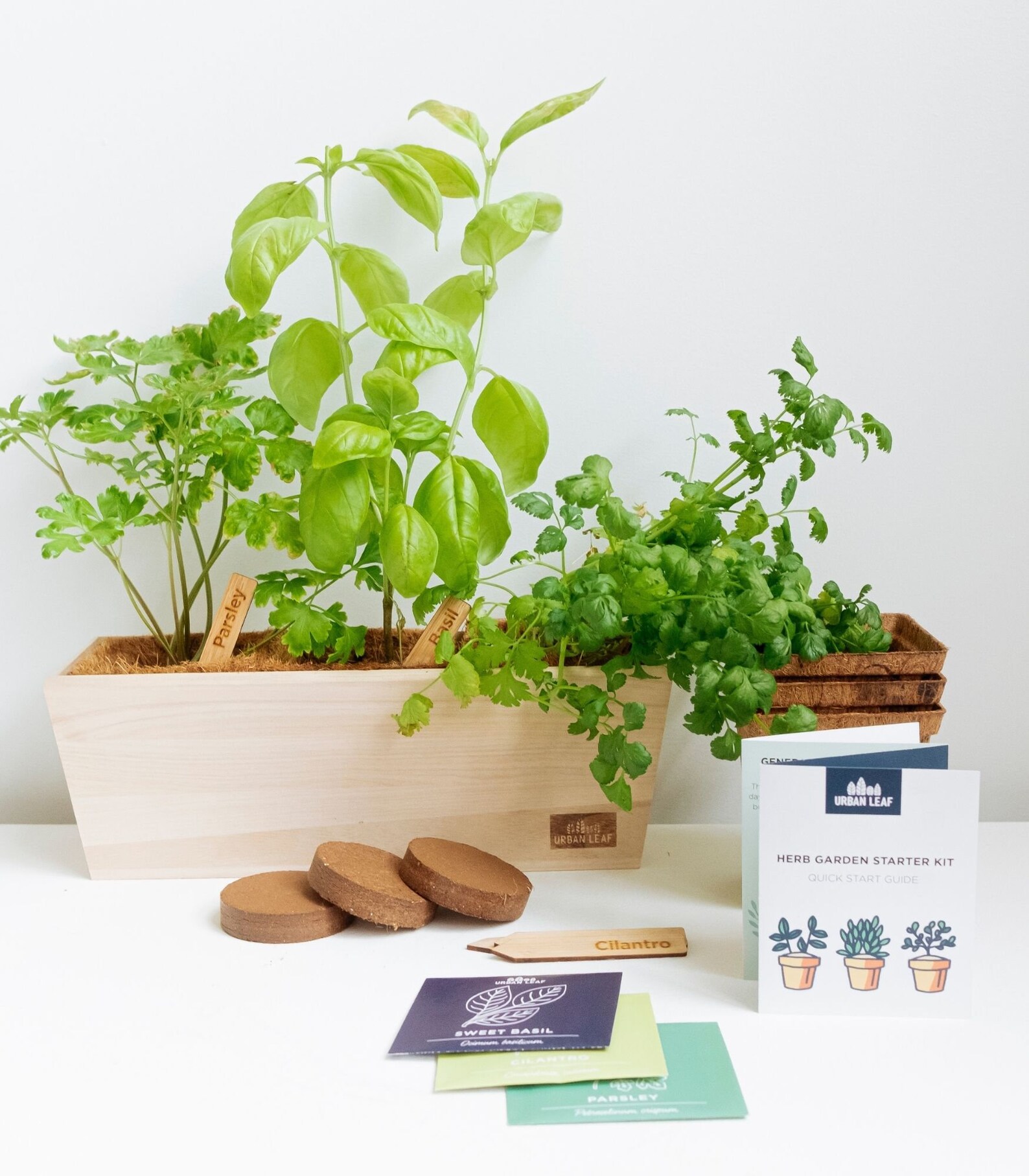 Herb Garden Kit Indoor Herb Garden Kit Gardening Gift Etsy