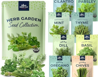 Herb Seeds Variety Pack for Planting Indoors or Outdoors, Dwarf and Compact Herb Seeds Bundle, 8 Essential Culinary Herbs Seeds Bundle