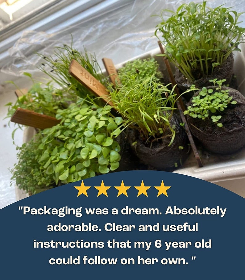 Herb Garden Starter Kit for Indoor or Outdoor Gardening 8 Etsy UK