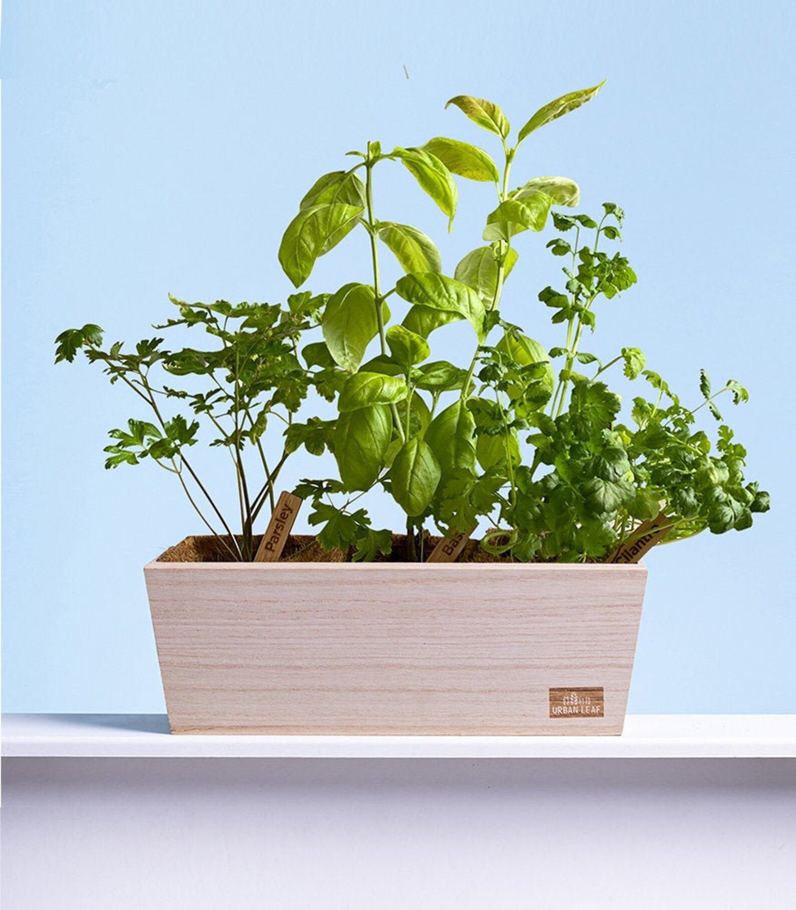 Herb Garden Kit Indoor Herb Garden Kit Gardening Gift Etsy