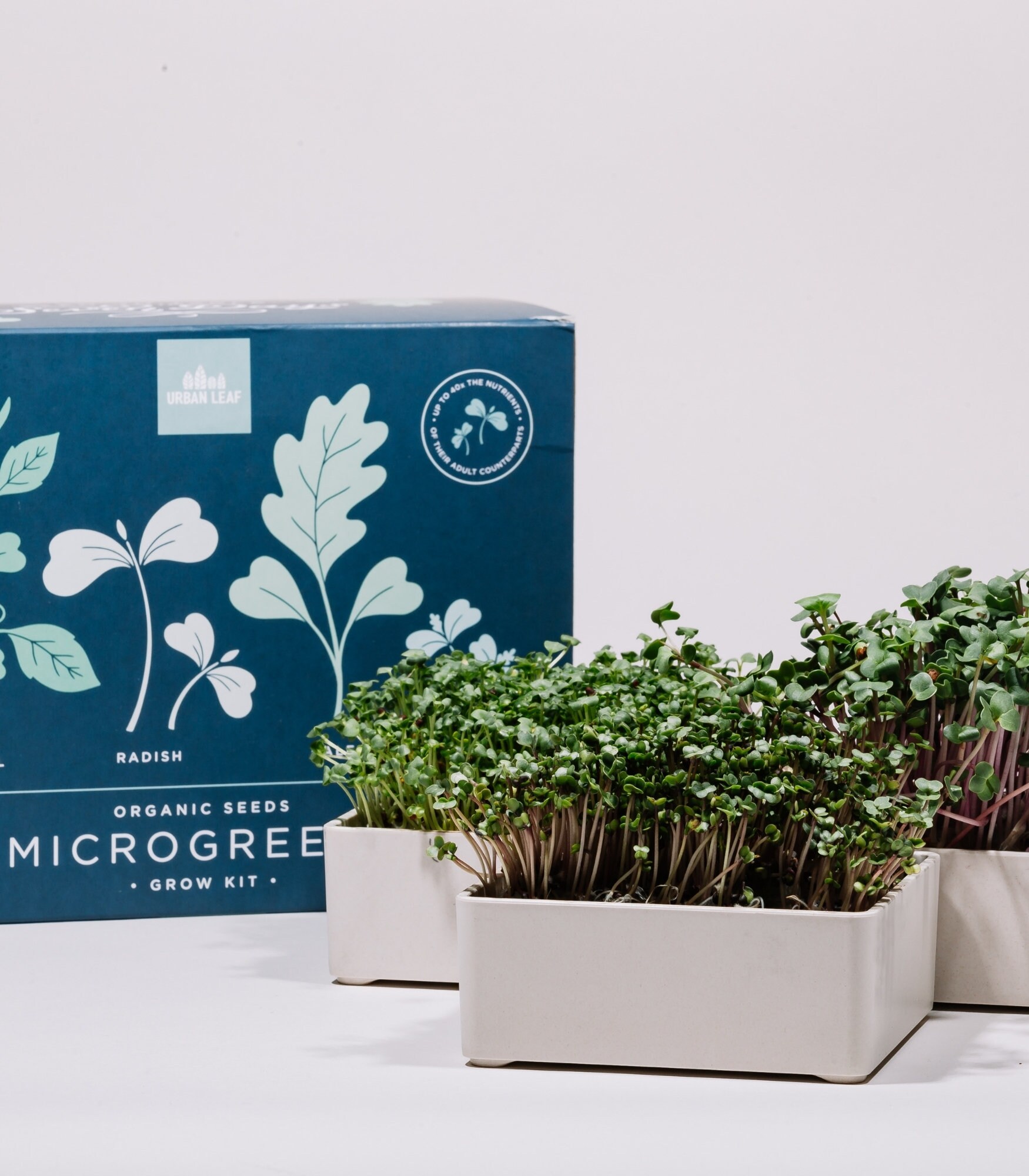 Organic Microgreens Growing Kit Microgreens Grow Kit Etsy