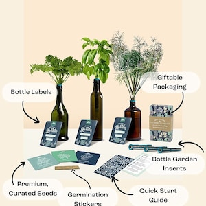 Herb Garden Kit, Window Herb Garden Kit, Indoor Herb Garden Kit, Indoor Wine Bottle Herb Plant Kits, Bottle Plant Kits, Gardening Gift image 5