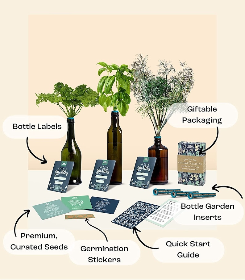 Herb Garden Kit, Window Herb Garden Kit, Indoor Herb Garden Kit, Indoor Wine Bottle Herb Plant Kits, Bottle Plant Kits, Gardening Gift image 5