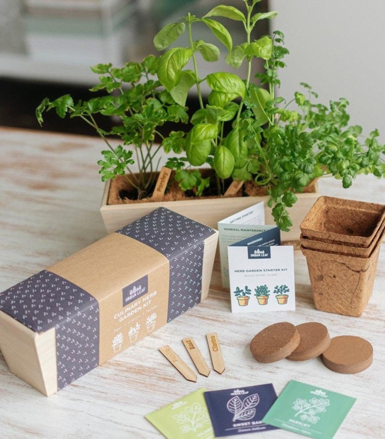 Herb Garden Kit Indoor Herb Garden Kit Gardening Gift Etsy