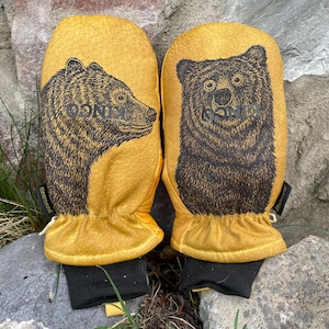 pair of bears