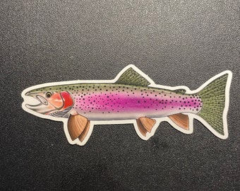 Rainbow Trout