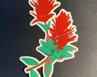 May include: A sticker featuring a pair of red flowers with green leaves. The flowers have a spiky, starburst shape with a red and green color scheme.