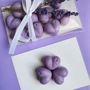 Lavender Hearts, Relaxing Lavender Wax Melts, Spa day, Hand Made Vegan Wax Melts, Scented Melts, Aromatherapy, Scentsy Luxury Difts