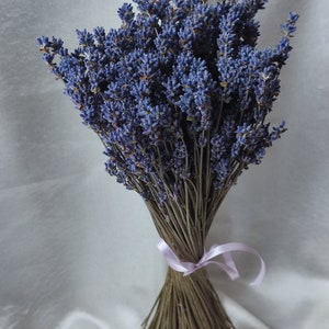 Dried lavender bundles 250 stems, lavender bouquet, OWN HARVEST 2024 - 100% natural, Flowers for Home, Wedding Decor, bunch of lavender