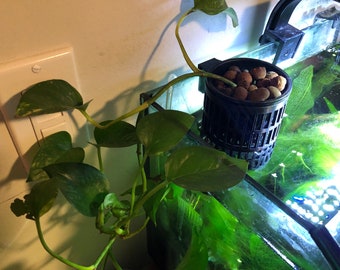 Hangende hydrodynamische plantenbak voor randloos aquarium.