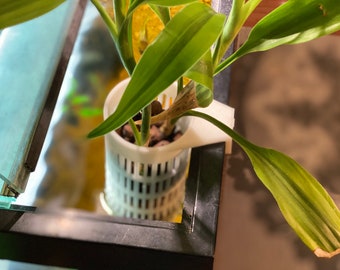 hydrocultuur plantenbak voor 1 "lip aquarium