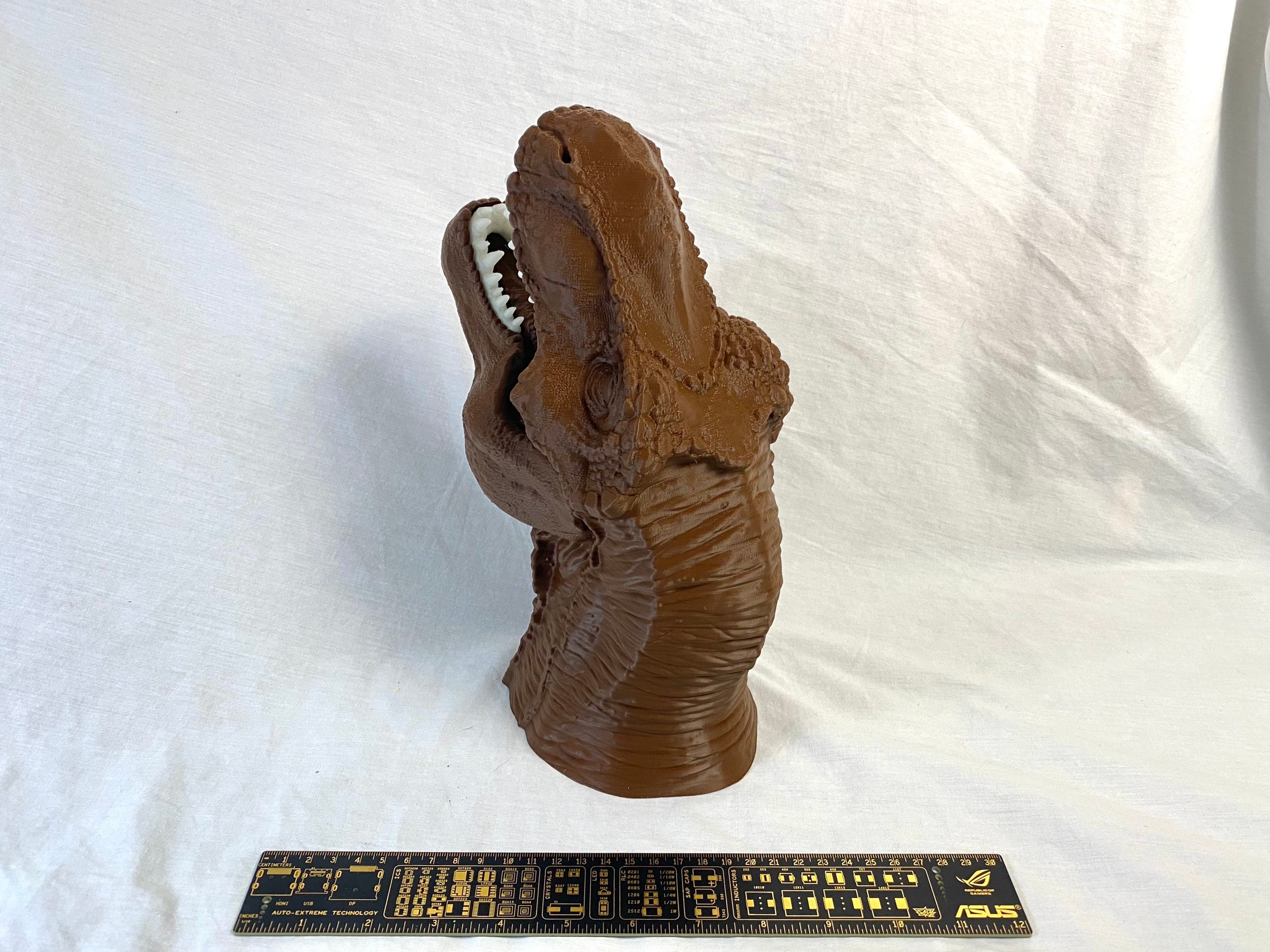 T-Rex Faux Präparatoren Wand montiert Dinosaurier Kopf 3D | Etsy