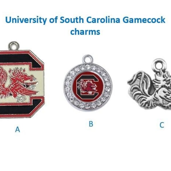 South Carolina Charm Etsy