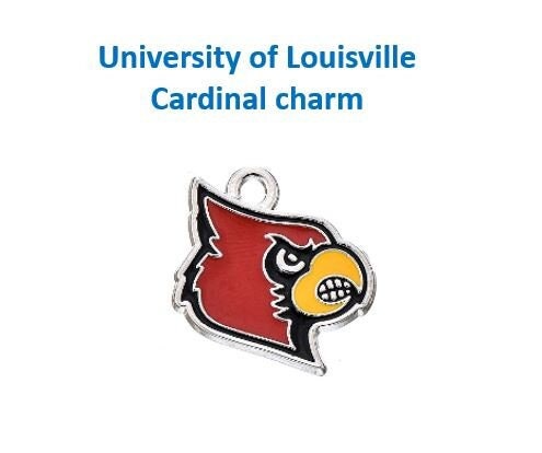 NCAA Louisville Cardinals Stainless Steel 19mm Disc Necklace 