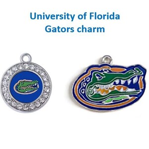 Set Of 2 University Of Florida GATORS Shoelace Charms For Paracord Jobs 