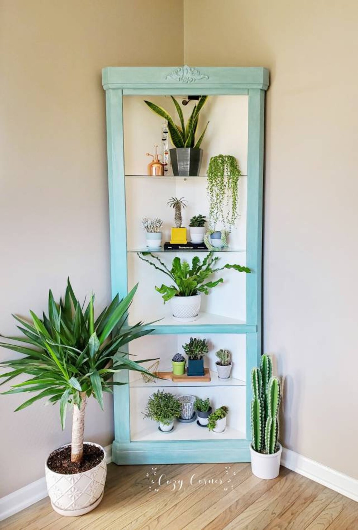 Vertical Greenhouse, Corner Curio Unique Display