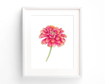 Zinnia Flower Watercolor Painting, Pink Floral Wall Art Print, Botanical Watercolor Art, Nursery Wall Decor