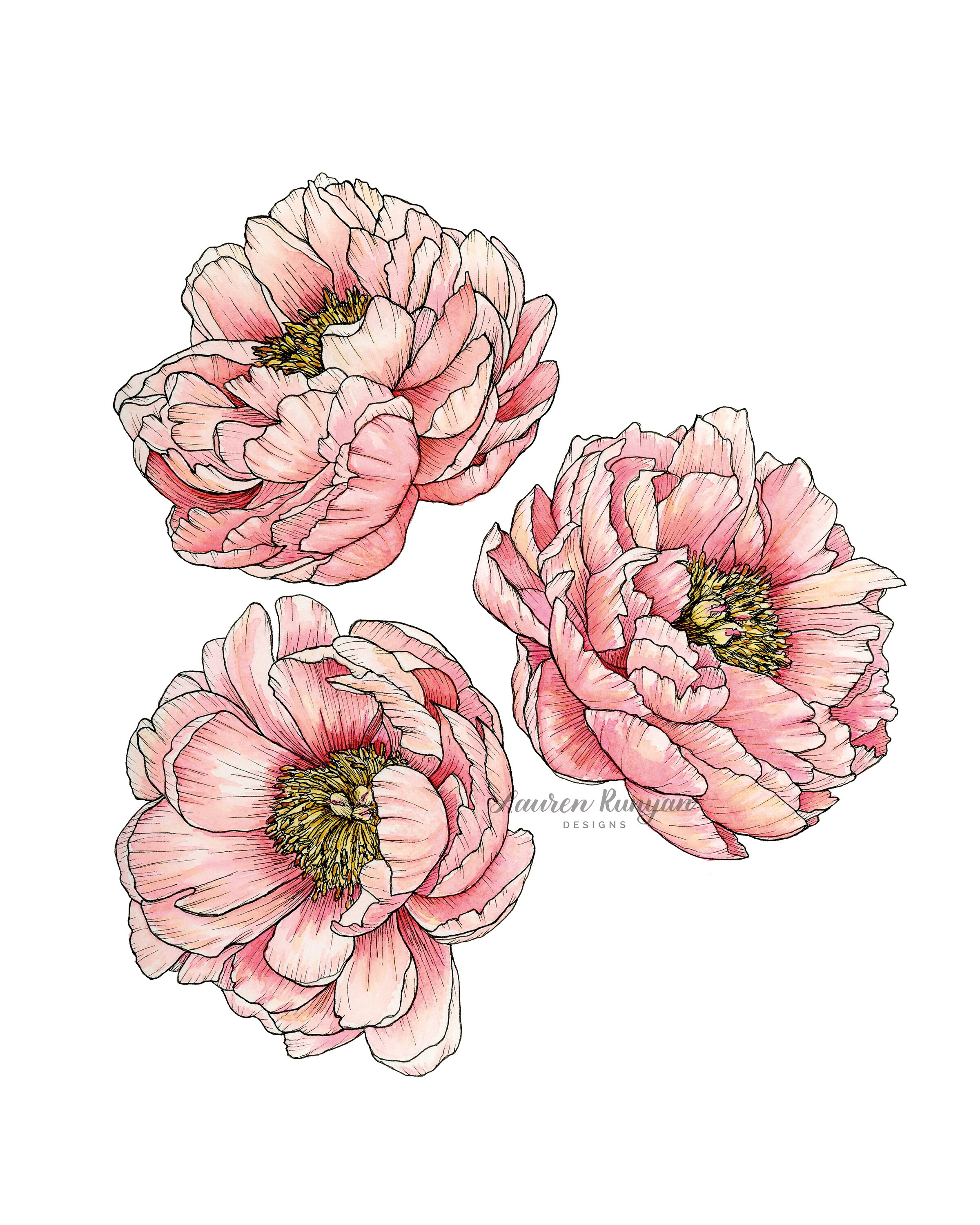 Pink Watercolor Peonies Print, Peony Wall Art Decor Flower Painting ...
