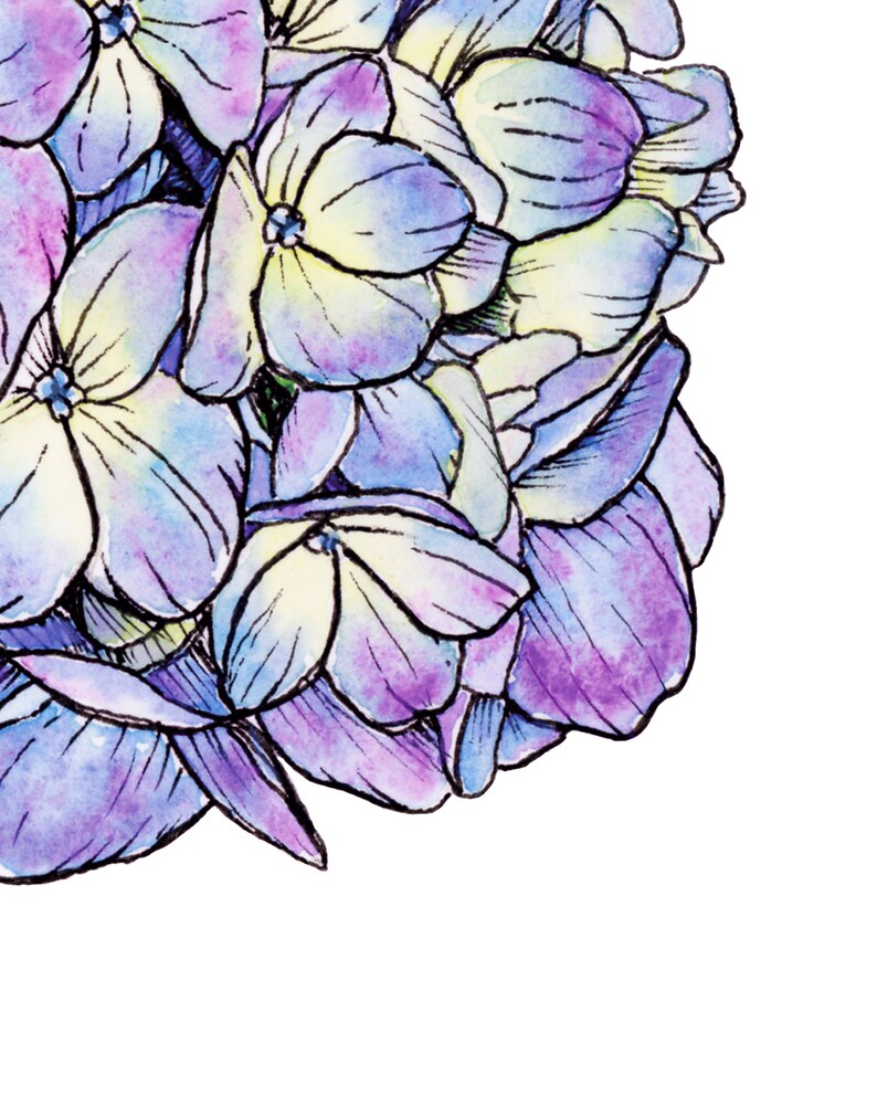 Purple Hydrangea Watercolor Painting Floral Wall Art | Etsy