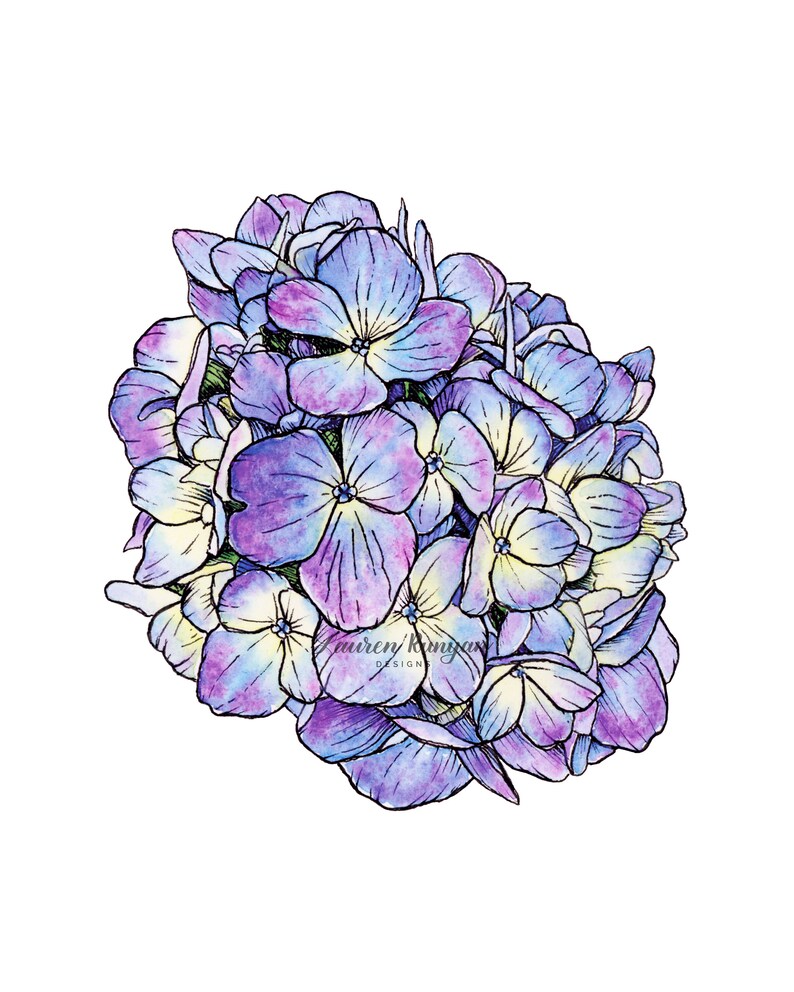 Purple Hydrangea Watercolor Painting Floral Wall Art Etsy