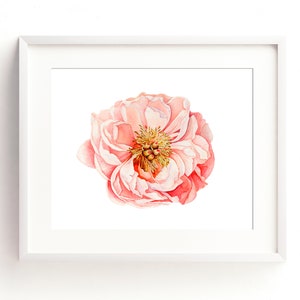 Rosa Pfingstrose Aquarell Blumen Wand Kunst Druck, Moderne Blumendruck, Botanische Kunst, Pfingstrose Malerei Floral Home Decor