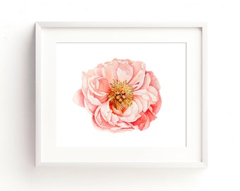 Rosa pion akvarell blommig väggkonsttryck, modernt blomtryck, botanisk konst, pionmålning blommig heminredning