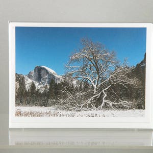Elm Tree with Half Dome and Stars, Yosemite National Park - Greeting Card