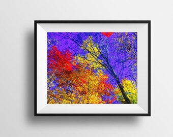 Abstract Art, Digital Download, Nature Art, Landscape Art, Tree Photography, Wall Art, Printable Art, Abstract Art Prints, Tree Photography