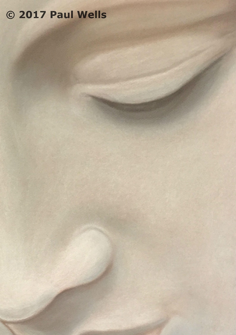 Blush Gray Wall Art Blush and Grey Wall Art Blush and Gray Etsy