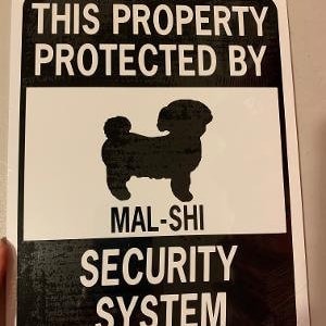 Mal-shi  Dog  (Maltese x shih tzu) Funny Aluminum Yard Sign Designs